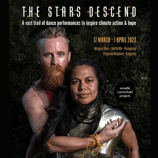 Stars Descend 1
